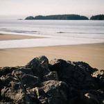 Darion Osinski Profile Picture