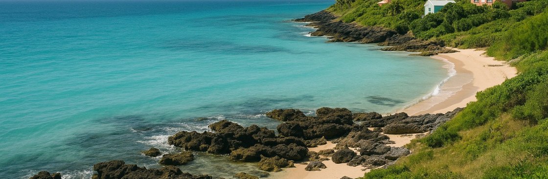 adhdwith africantwizt Cover Image